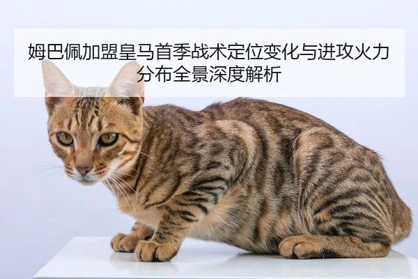 姆巴佩加盟皇马首季战术定位变化与进攻火力分布全景深度解析