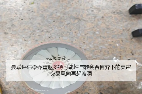 曼联评估桑乔重返多特可能性与转会费博弈下的夏窗交易风向再起波澜