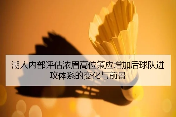 湖人内部评估浓眉高位策应增加后球队进攻体系的变化与前景
