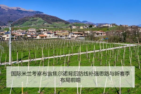 国际米兰考察布翁焦尔诺背后防线补强思路与新赛季布局前瞻